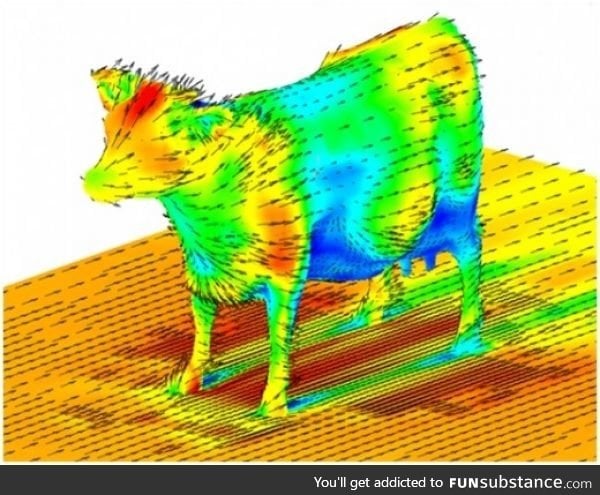 Aerodynamics of a cow...Just in case you wondered