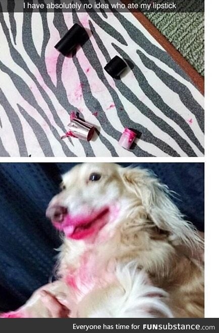 I have absolutely no idea who ate my lipstick
