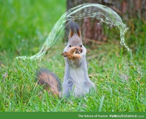 I'm selling a waterbender squirrel, or maybe trading it for a fire/earth bender one
