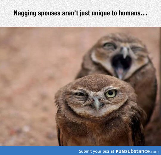 Nagging spouses