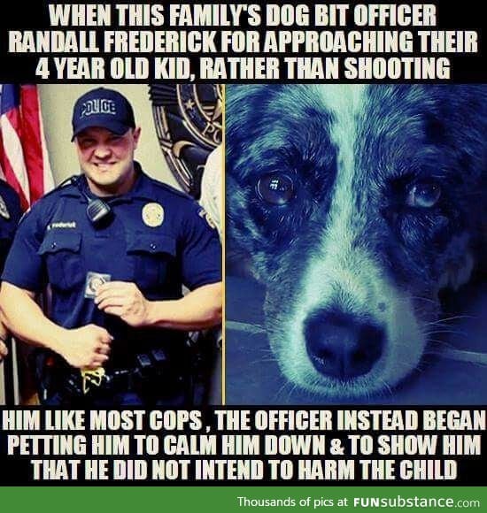 Good guy cop