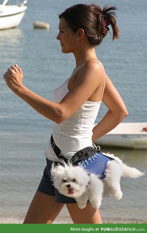 The new way to carry your dog