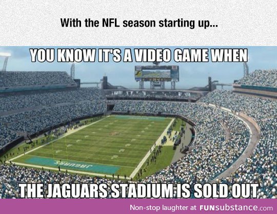 The jaguars stadium