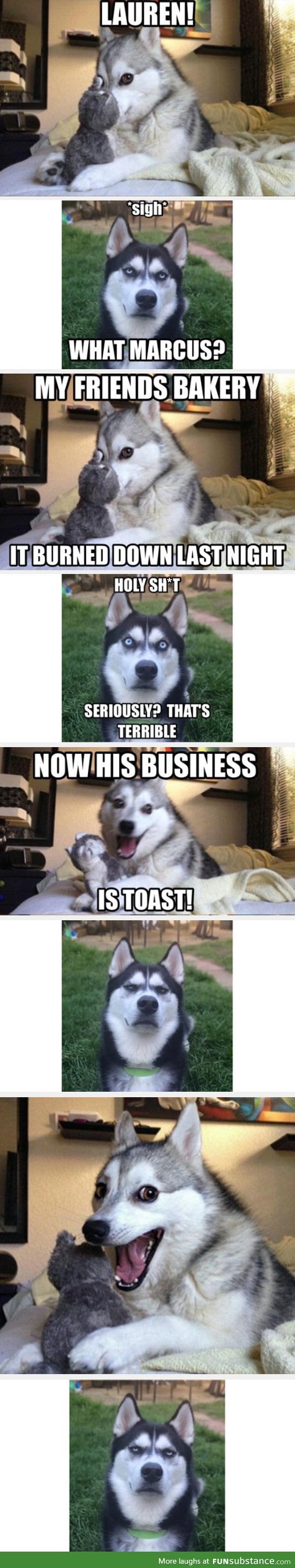 Pun husky is at it again