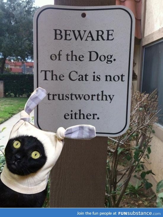 Beware ot the dog