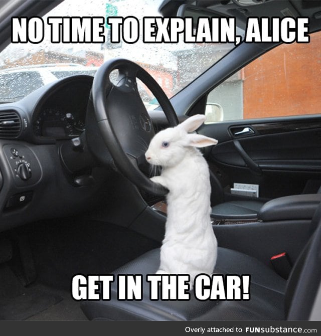 No time to explain, Alice