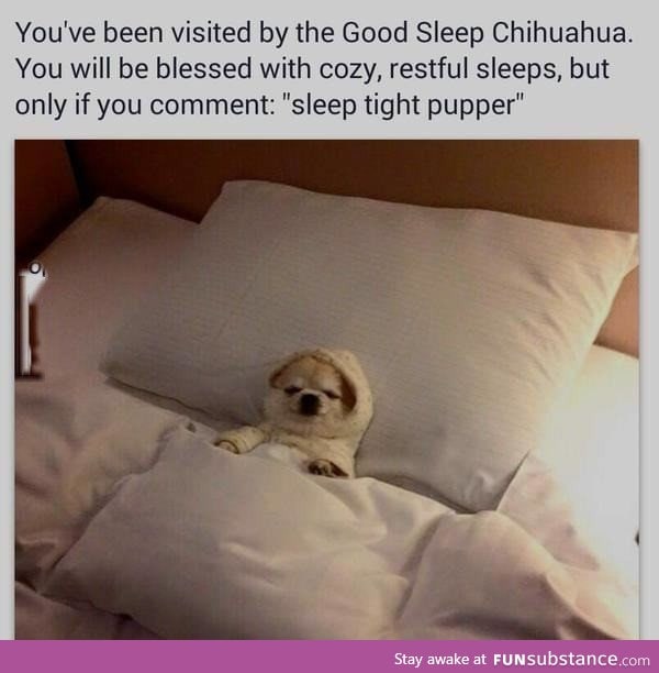 Sleep tight pupper