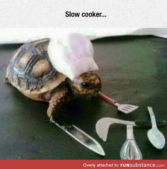 Bought a new slow cooker