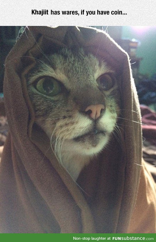 M'aiq Wishes You Well