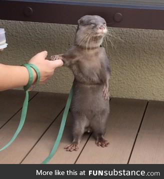 "Sigh. Okay, I will hold your hand. If that makes you feel better"