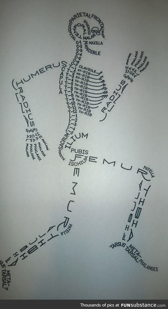 Skeleton drawn using bone names