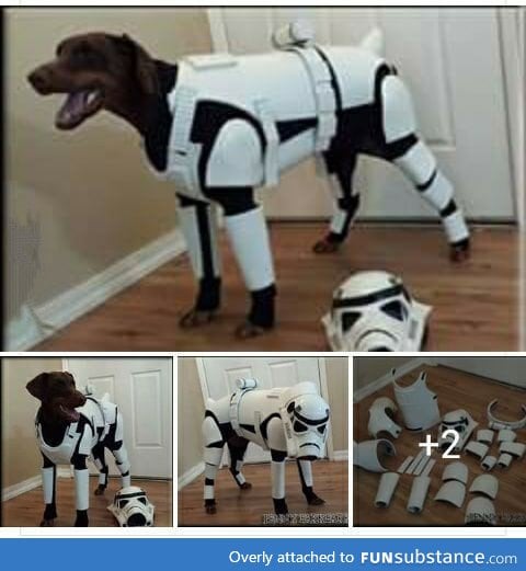 My dog needs this! For reasons of course