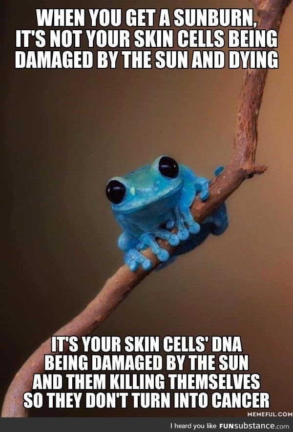 I love my skin cells so much that I avoid sunlight so they can live!