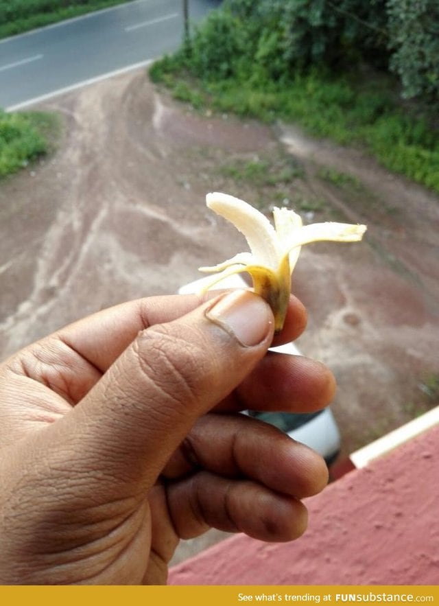 My friend from Goa, sent me this. Banana for scale