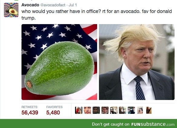 At least avocados aren't racist