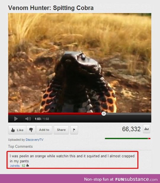 Old youtube comments were the best
