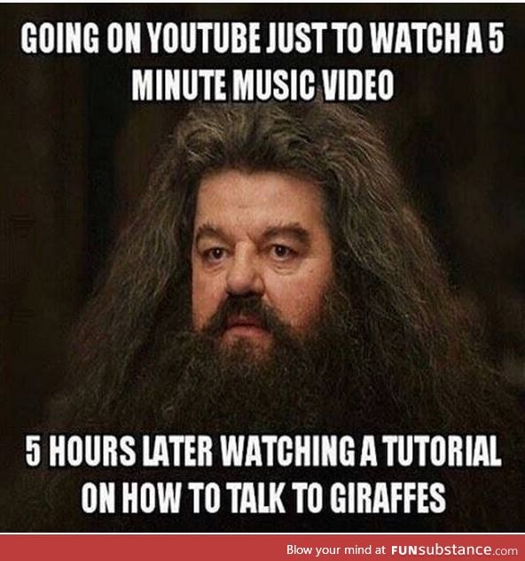 Every damn time on youtube