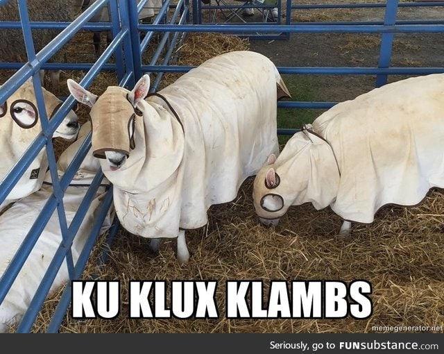 Bad lambs