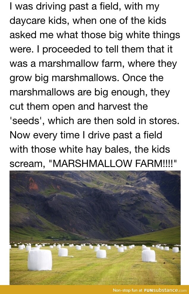 Where marshmallows come from.