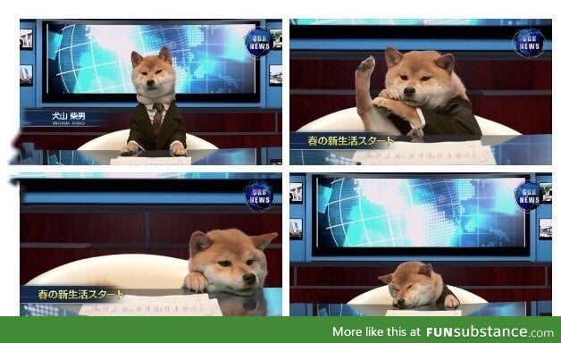 Finally a news anchor I can trust