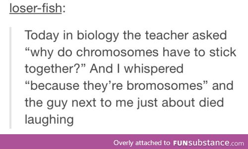 ...bromosomes...