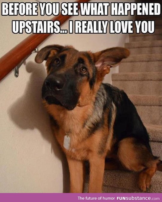 Before you go upstairs