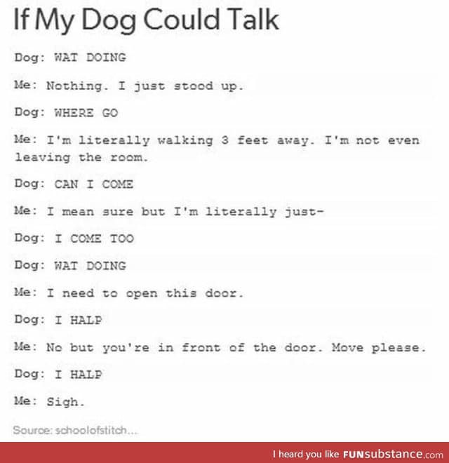 My dog all the time