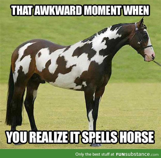 A horse horse