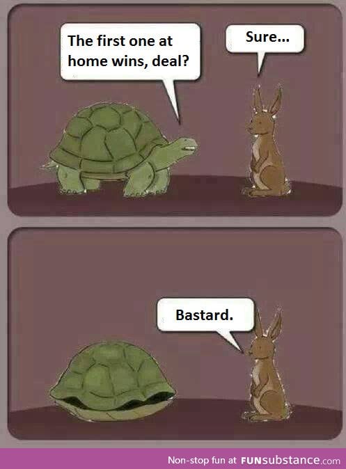 The real hare and tortoise