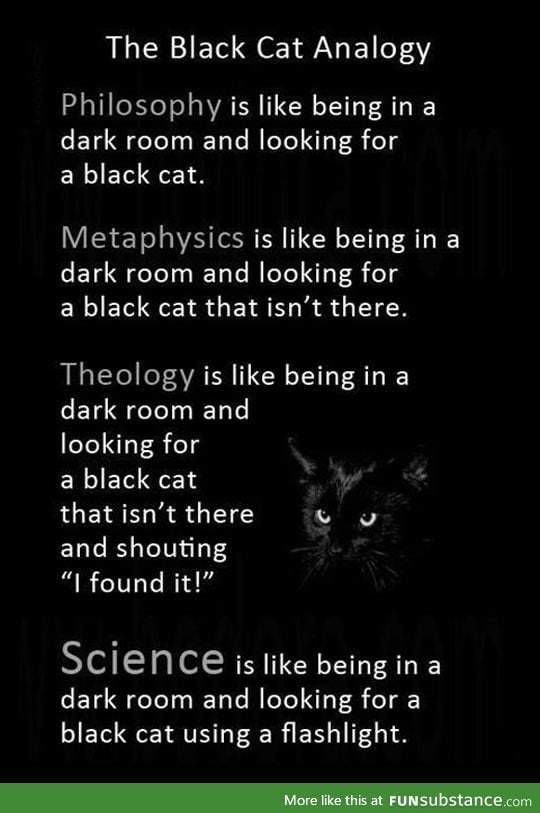 Black cat an*logy