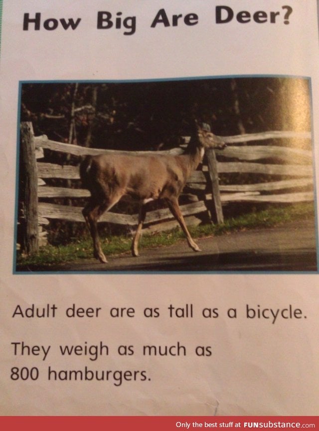 "From my daughter's library book. This is how we weigh things in America"