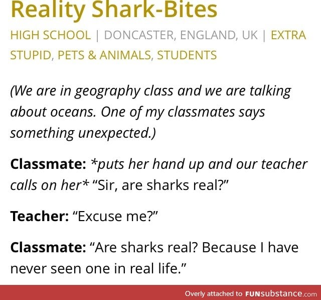 .. wait, sharks are real?