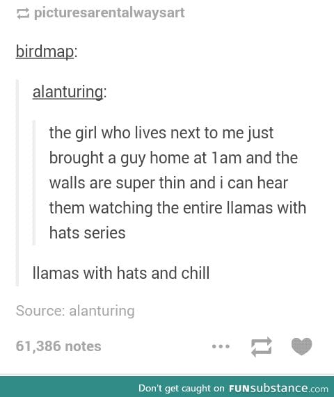 I miss llamas with hats