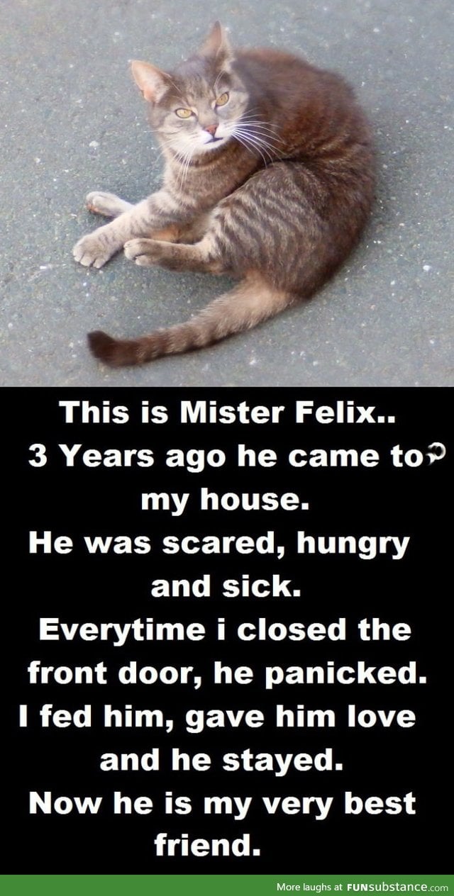 I hope you'll read this, Mister Felix!