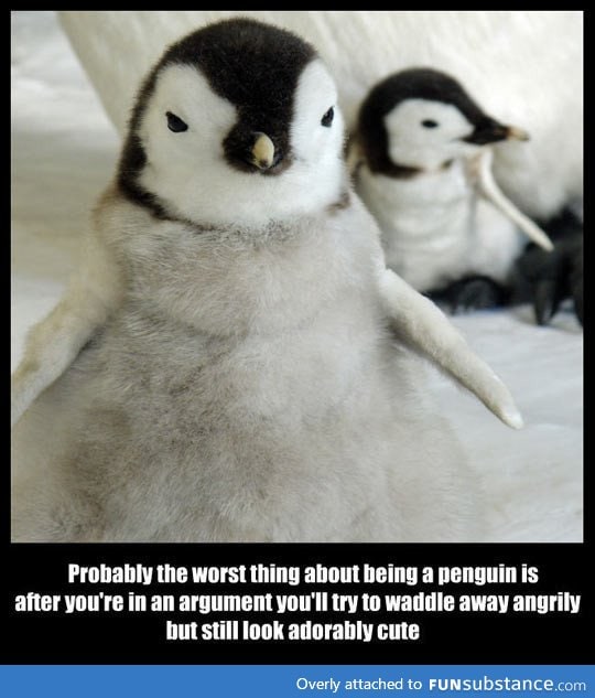 The worst thing about being a penguin