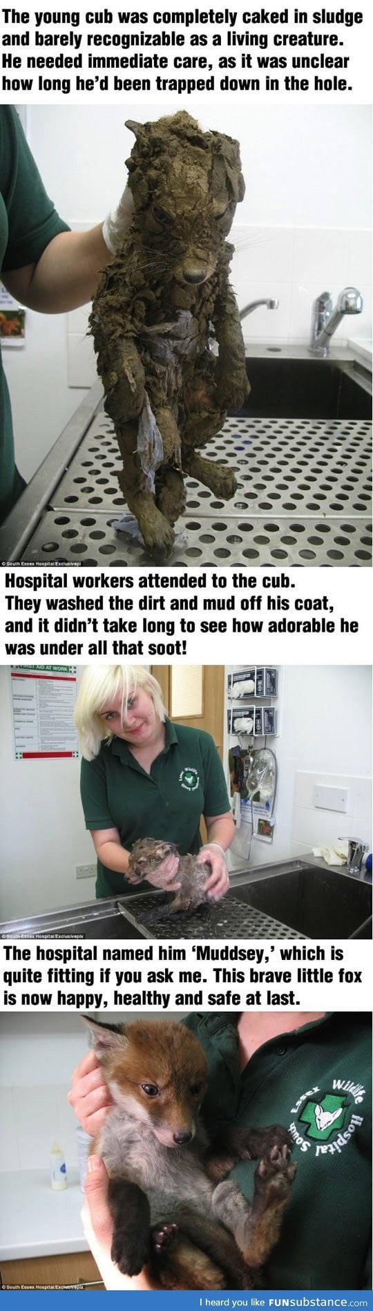 They found this cute little cub caked in the mud