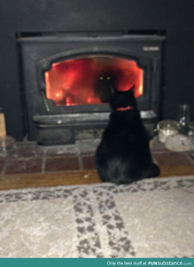 Cat is trying to summon a demon