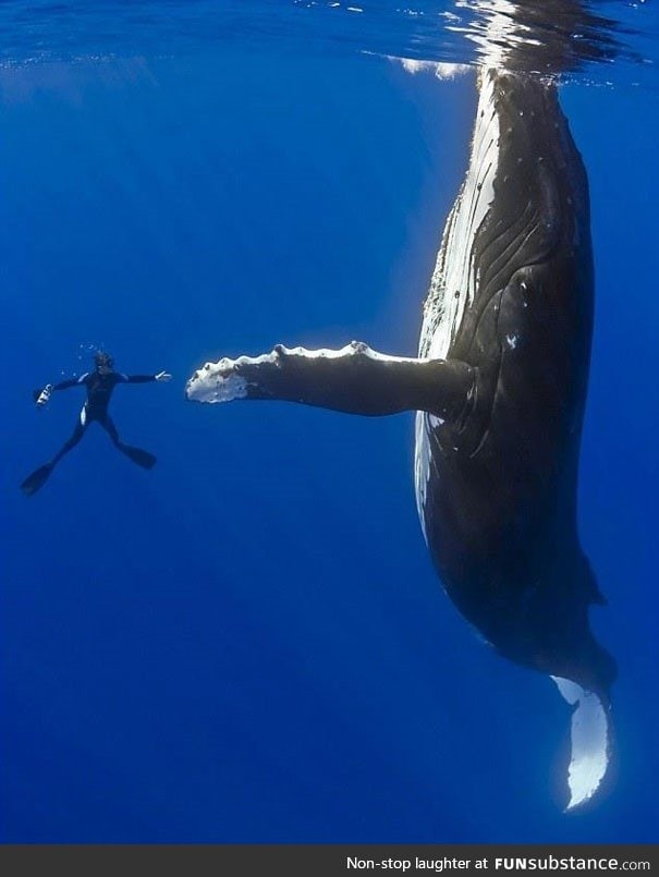 High-five bro!