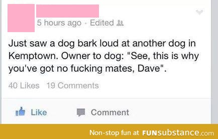f*cking hell, Dave!