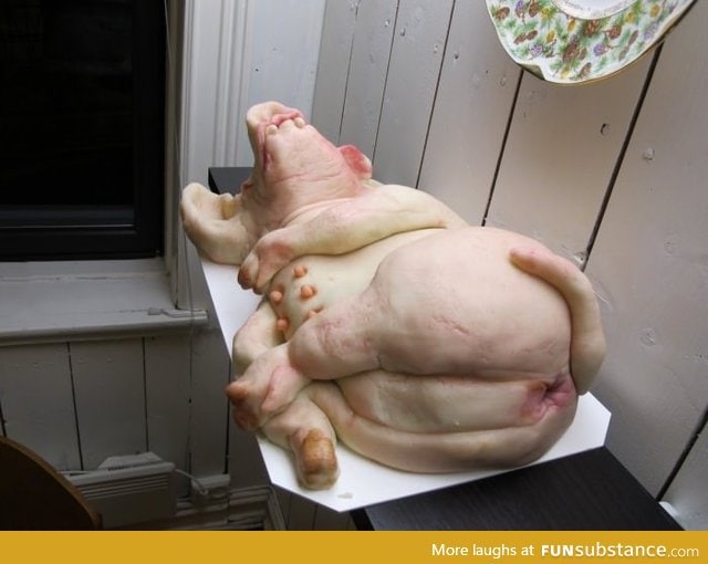 Pig cake. You know, it wasn't necessary to make every detail so realistic