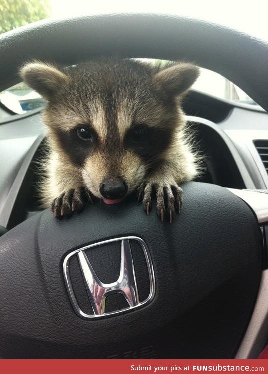 Don't drive angry