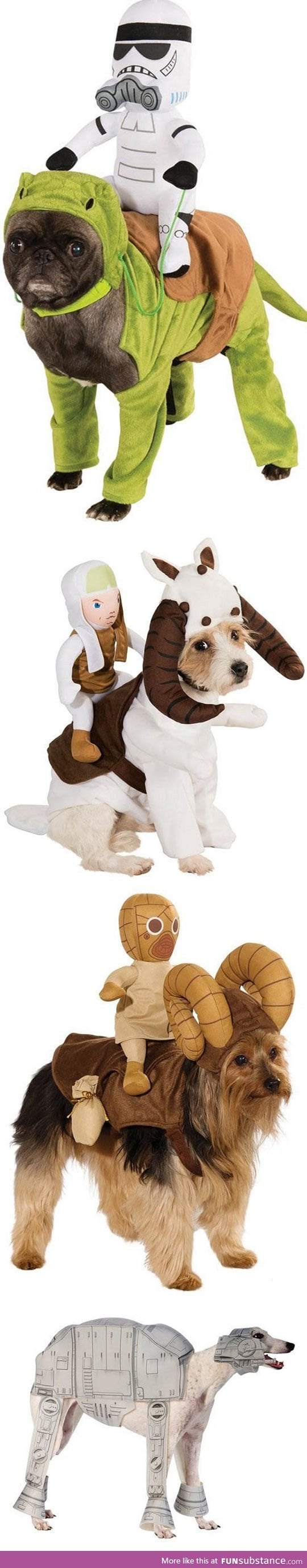 Brilliant star wars costumes for dogs
