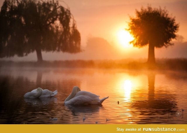 A London sunrise from one of the royal parks