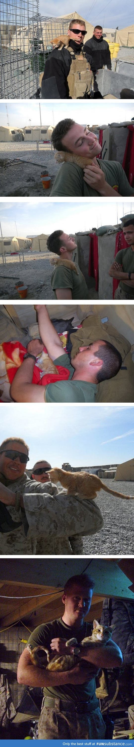 Us marine rescues kitty in afghanistan
