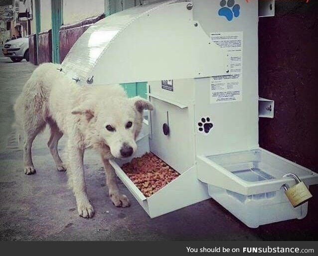 Faith in humanity is slowly restoring. Food stations for stray dogs
