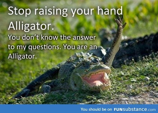 Stop it alligator