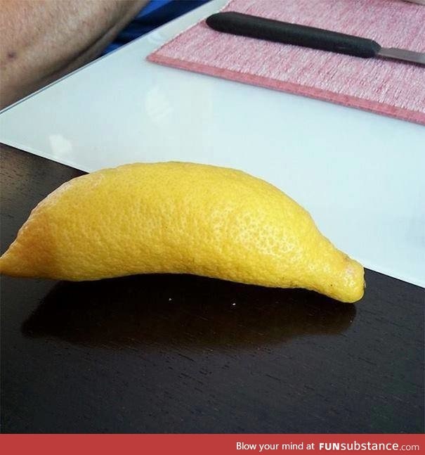 Lemon for scale
