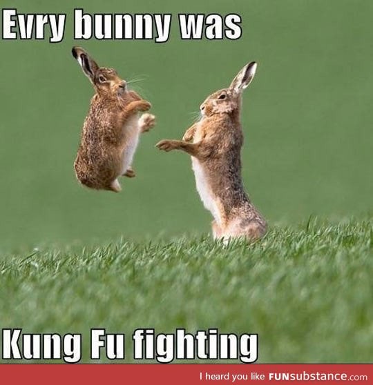 Every single bunny