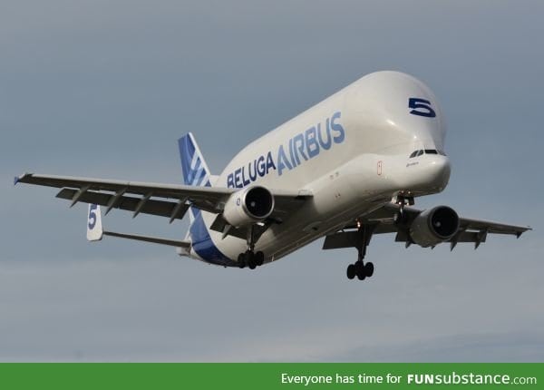 Airbus beluga