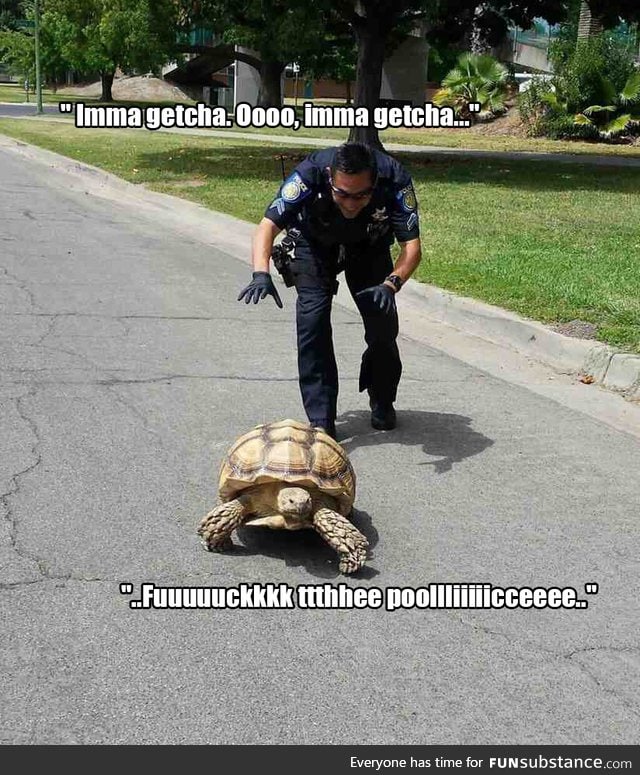 Police Officers do their best to catch a "high speed offender"